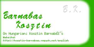barnabas kosztin business card